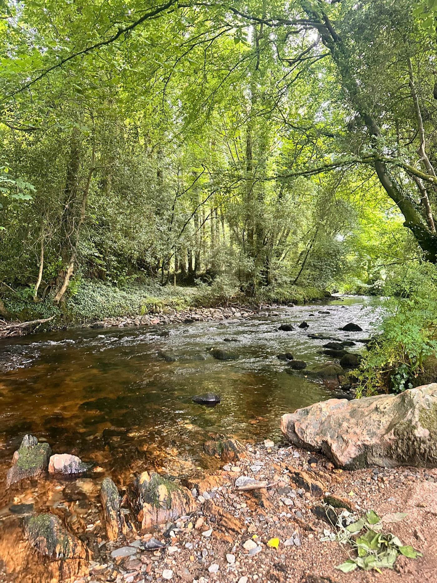 The Devon countryside